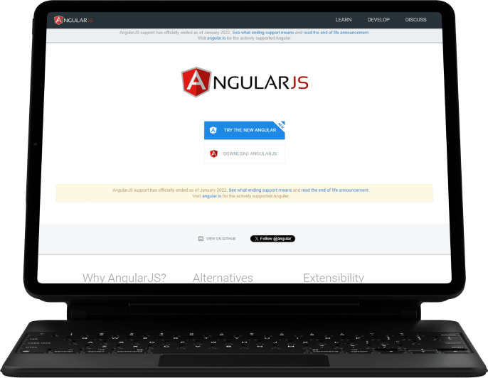 Angularjs Development Services