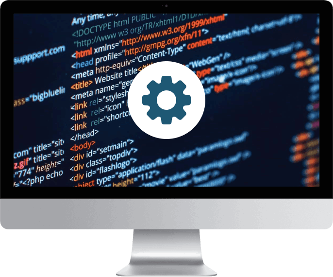 Custom Web Development Services