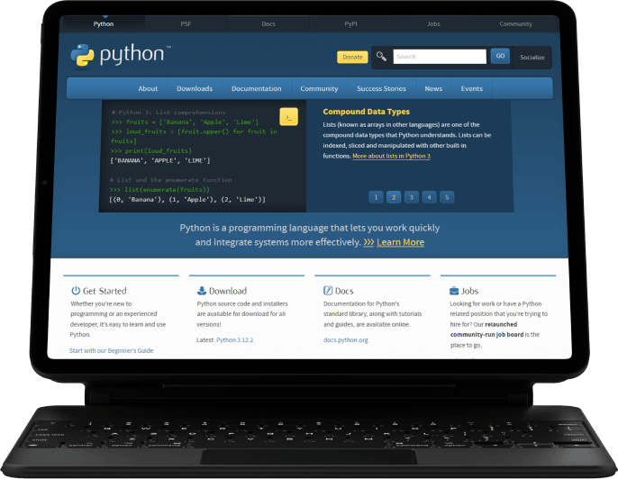 Python Web Development Services