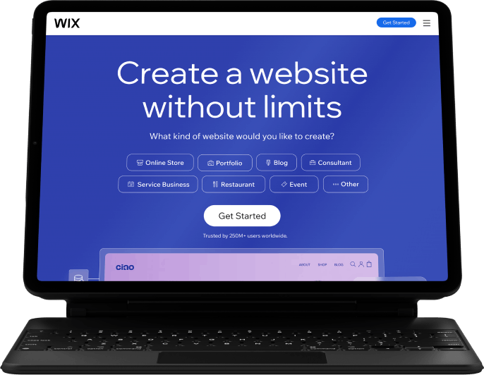 Wix Development Services