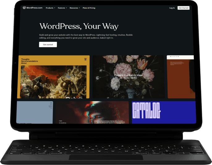 WordPress Development Agency
