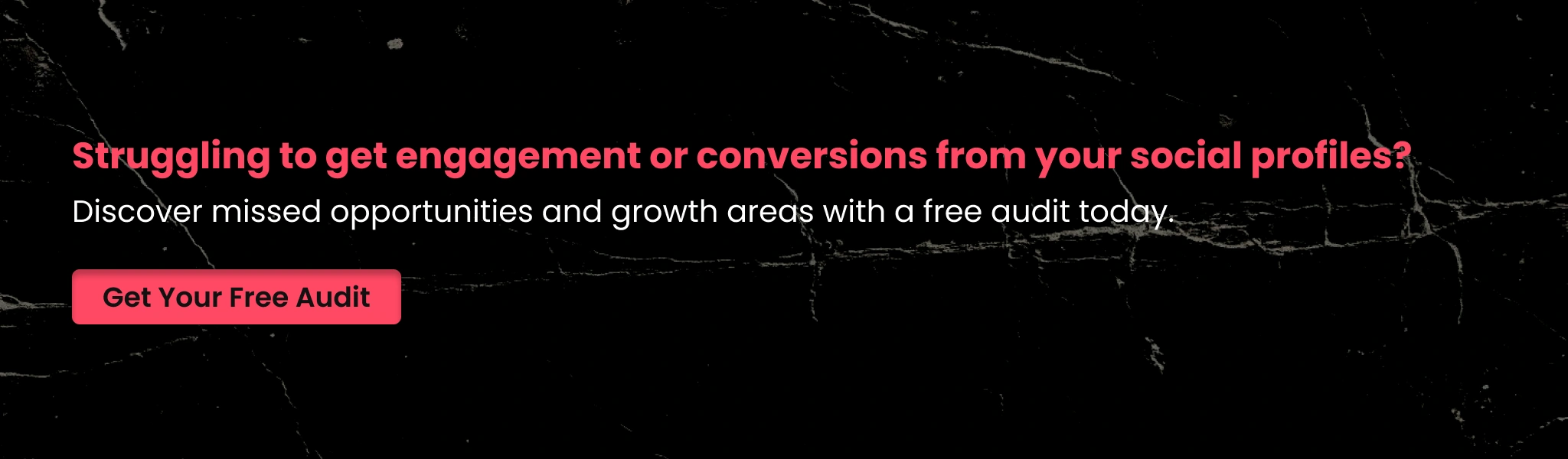 Discover missed opportunities and growth areas with a free audit today