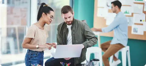dropdown hire development